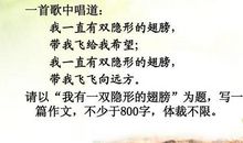 2009北京卷高考同题作文：我有一双隐形的翅膀（郑渊洁）_800字