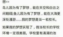 关于我有一个梦想演讲稿3篇