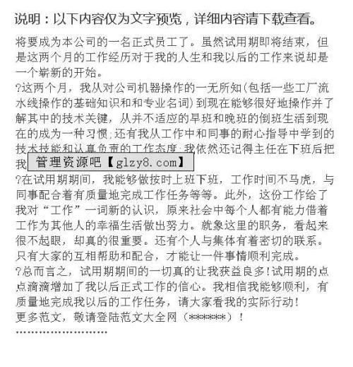 2020年公司职员试用期转正工作总结范文