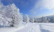 北京冬天的第一场雪_450字