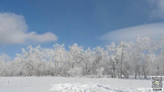 冬日里第一场雪_400字