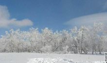 冬日里第一场雪_400字