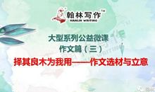 【翰林写作大型系列公益微课——作文篇（三）】择其良木为我用——作文选材与立意
