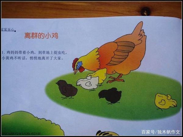 三年级作文:离群的小鸡