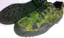 外公的解放鞋 初中记叙文1000字