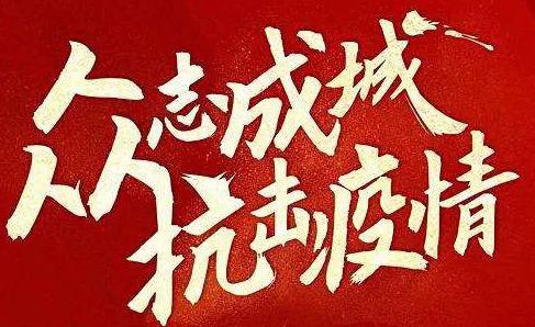 众志成城渡难关 疫情无情人有爱作文700字