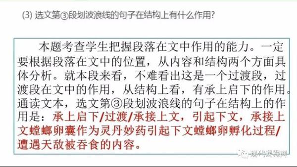 朱苏兰:语文期末试卷讲评——基础题、阅读理解题与作文题 16