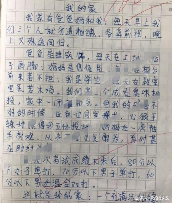 小学生满分作文,老师批改感慨万千,网友直呼太有才了