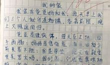 小学生满分作文，老师批改感慨万千，网友直呼太有才了