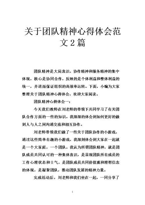 关于团队管理的心得体会