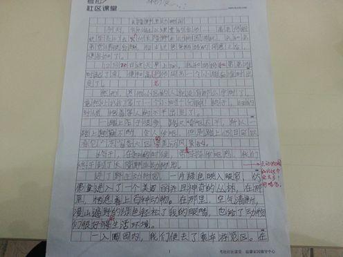 迟来的和解记事作文