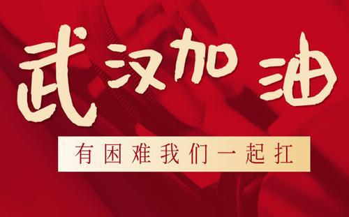 众志成城，抗击新冠 为武汉加油作文800字