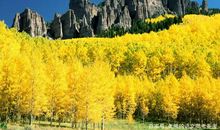 高考作文辅导122：创新传播中华传统文化