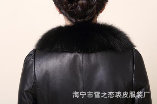 雪之恋语_800字
