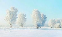 关于冬天的作文：冬天的美丽_800字