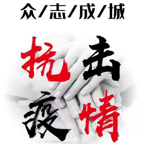 这个春节，我们以“静”致敬_疫情中的春节作文500字