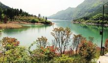 三年级作文：那一片风光独好