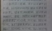 《雪橇犬之歌》读书笔记最新范文