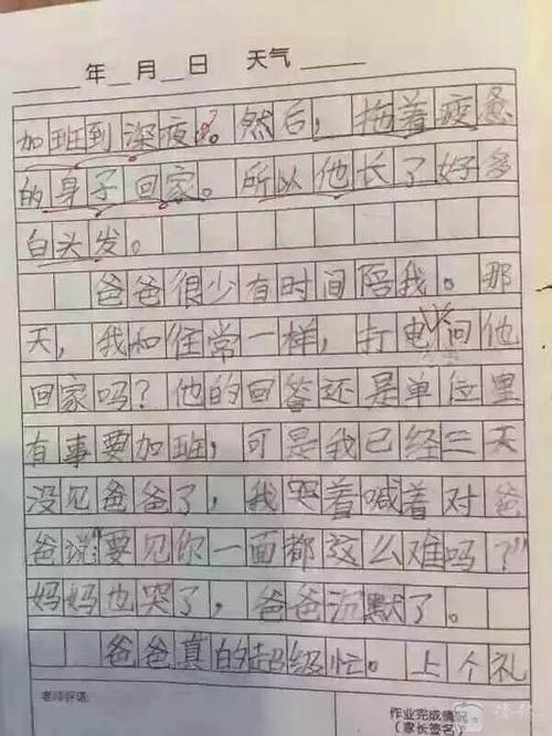 三年级英语作文：我的父亲_350字