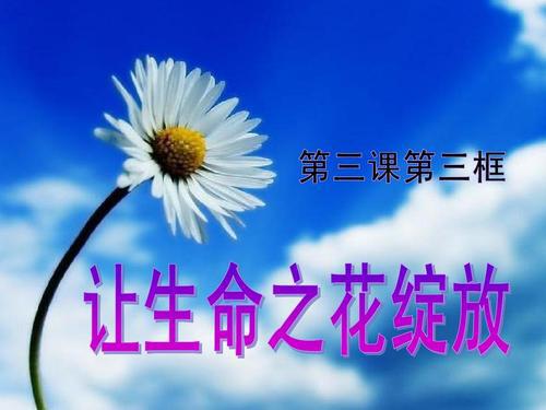 让勇气之花绽放-难忘的主持经历作文600字