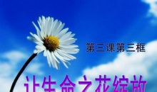 让勇气之花绽放-难忘的主持经历作文600字