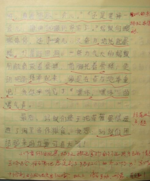 高一想象作文：蚂蚁变大了_650字
