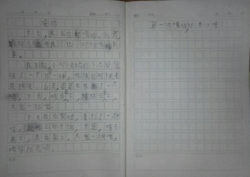 第一次喂鸡 难忘的第一次作文800字