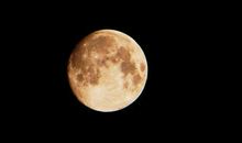 五年级作文：那轮明月