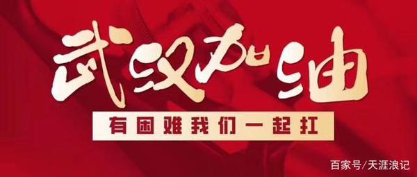 特别的寒假 同心战疫，武汉加油作文900字