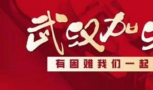 特别的寒假 同心战疫，武汉加油作文900字