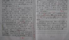 谈美-生活中的美作文400字