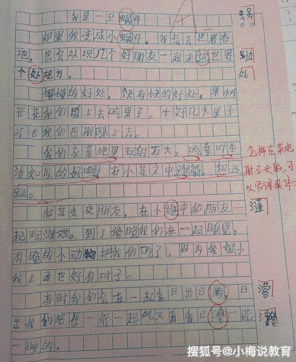 原创 让人崩溃的小学生作文，最后两篇是神文，老师被气哭了！