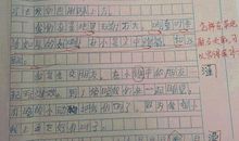 原创 让人崩溃的小学生作文，最后两篇是神文，老师被气哭了！