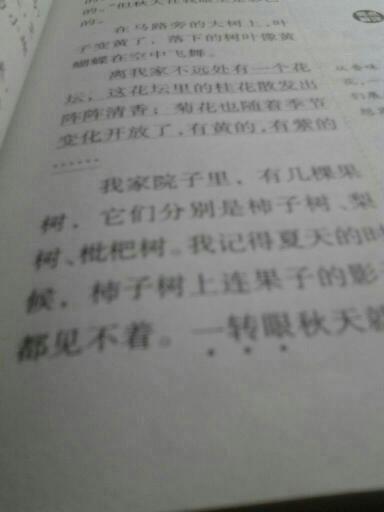 秋-迷人的秋天作文400字