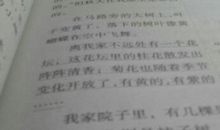 秋-迷人的秋天作文400字