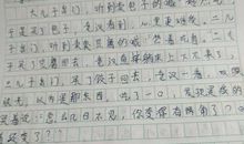笔尖流出的故事-优秀记叙文500字