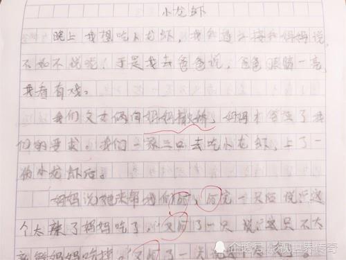 龙虾战士作文