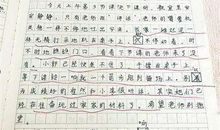 看我家四“虫”-幸福的一角作文600字