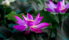 高考作文预测、优秀作文点评：《背负世界的弘毅》