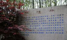 雾雪九华山 小学写景作文1200字