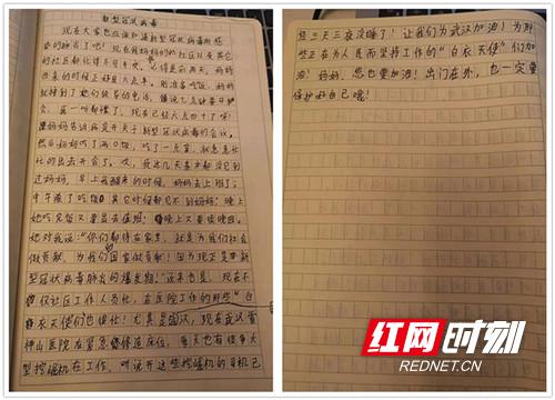 特别的新年体验 关于新型冠状病毒的作文500字