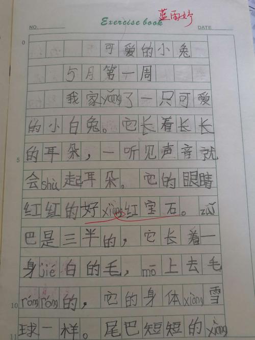 用我手写我心-优秀记叙文800字