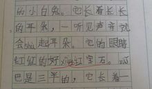 用我手写我心-优秀记叙文800字