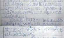 特殊的升旗仪式 小学写事作文1000字