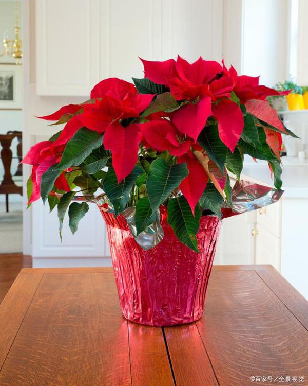 高考语文：掌握写作技法，决胜考场作文 8