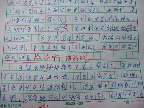 学打牌 小学生写事作文700字