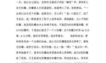 赛陀螺 快乐的一件事作文1000字