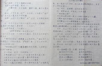 初一期末考满分议论文范文