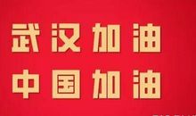 致敬逆行者 中国加油，武汉加油作文500字