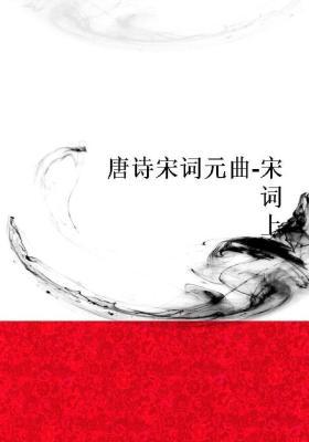 宋词怀古-优秀随笔400字